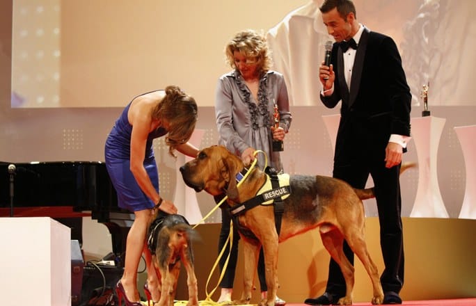 2011 GOLDENE BILD der FRAU Gala Hunde Nazan Eckes & Kai Pflaume